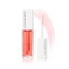 Lip Oil