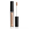 Skin Slip Full Coverage Concealer #L3